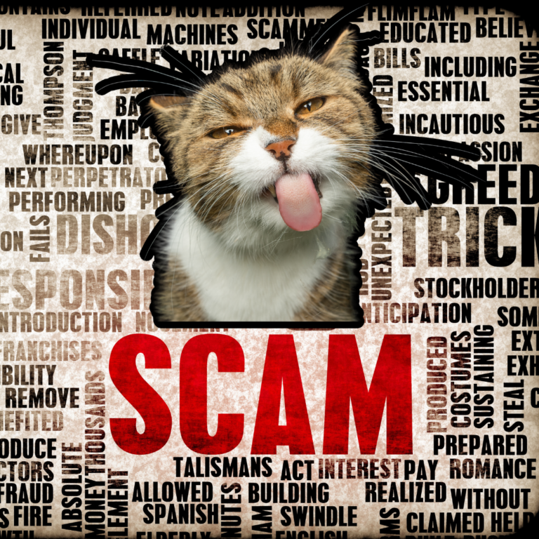 Cat sticking tongue out with words about scamming in the background.