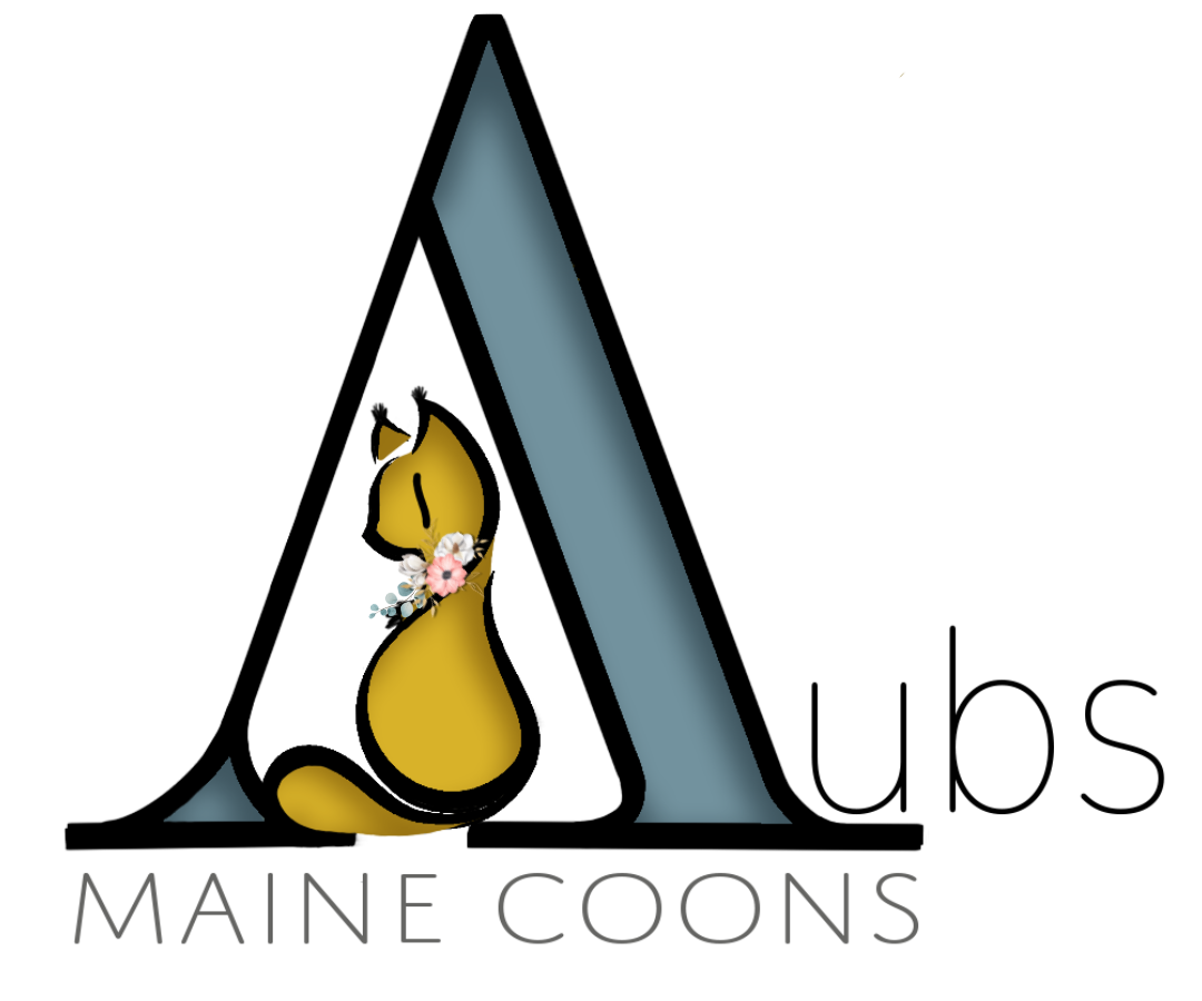 Aub's Maine Coons